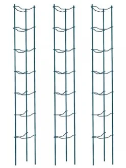 Tomato Ladders, Set Of 3 -Outdoor Garden Care 38184 002E psd