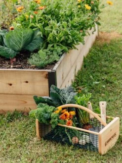 Garden Hods 10 Garden Hods -Outdoor Garden Care 39 761 572 tif