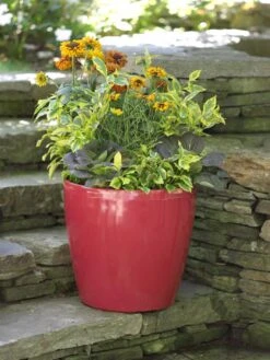 Viva Round Self-Watering Rolling Planter, 17.25” Diameter -Outdoor Garden Care 39326 046 tif