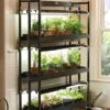 3-Tier Sunlite® Garden -Outdoor Garden Care 39357 004 grow lights with three shelves large tif