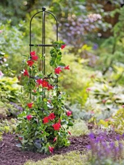 Essex Round Trellises 13 Essex Round Trellises -Outdoor Garden Care 39544 2267 tif