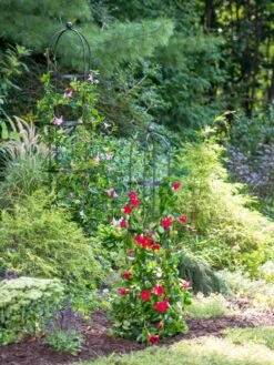 Essex Round Trellises 11 Essex Round Trellises -Outdoor Garden Care 39545 2286 tif