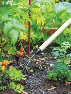 Gardener's Lifetime Long-Handled Double Tool 9 Gardener's Lifetime Long-Handled Double Tool -Outdoor Garden Care 3 4 crop 8592107 2460 tif