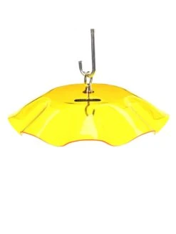 Birds Choice Weather Guard Feeder Cover -Outdoor Garden Care 3 4 crop 8608735 25V