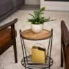 Hairpin Plant Stand With Shelf -Outdoor Garden Care 3 4 crop 8612670 2206 hairpin plant stand with shelf