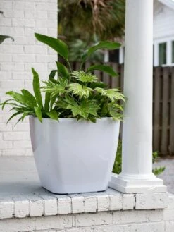 Viva Square Self-Watering Rolling Planter, 20" Diameter, Set Of 2 -Outdoor Garden Care 3 4 crop 8612930 0033 tif