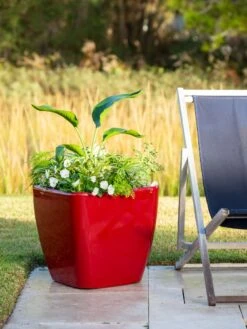 Viva Square Self-Watering Rolling Planter, 20" Diameter, Set Of 2 -Outdoor Garden Care 3 4 crop 8612930 0035 tif