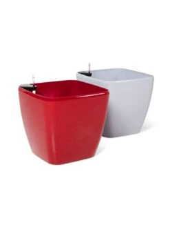 Viva Square Self-Watering Rolling Planter, 20" Diameter, Set Of 2 -Outdoor Garden Care 3 4 crop 8612930 0104