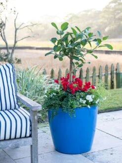 Viva Round Self-Watering Rolling Planter, 20" Diameter, Set Of 2 -Outdoor Garden Care 3 4 crop 8612933 5312 tif