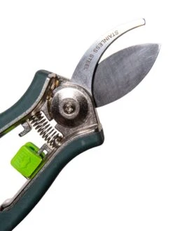 Houseplant Pruner -Outdoor Garden Care 3 4 crop 8612961 0015