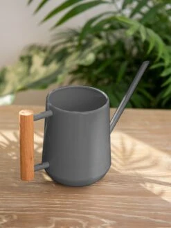 Pinpoint Indoor Watering Can