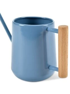 Pinpoint Indoor Watering Can 18 Pinpoint Indoor Watering Can -Outdoor Garden Care 3 4 crop 8612963 04V tif