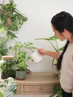 Pinpoint Indoor Watering Can 15 Pinpoint Indoor Watering Can -Outdoor Garden Care 3 4 crop 8612963 3774