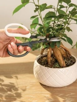 Japanese Pruning Scisssors -Outdoor Garden Care 3 4 crop 8612968 0087