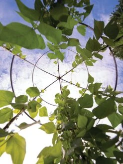 Jardin Tower -Outdoor Garden Care 3 4 crop 8612997 0033