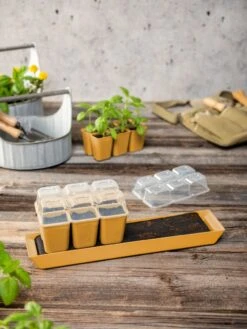 Gardener's Best® Humidity Dome, Set Of 2 8 Gardener's Best® Humidity Dome, Set Of 2 -Outdoor Garden Care 3 4 crop 8613067 10063