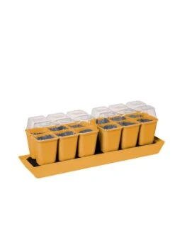 Gardener's Best® Humidity Dome, Set Of 2 9 Gardener's Best® Humidity Dome, Set Of 2 -Outdoor Garden Care 3 4 crop 8613067 5879 tif