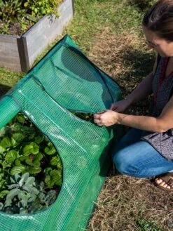 Multi Cloche -Outdoor Garden Care 3 4 crop 8613213 0245