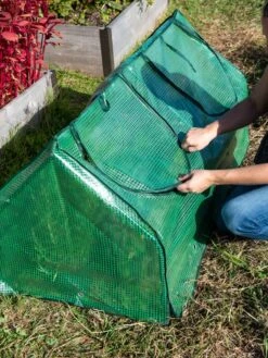 Multi Cloche -Outdoor Garden Care 3 4 crop 8613213 0250