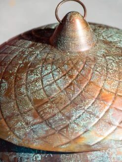 Acorn Hose Pot -Outdoor Garden Care 3 4 crop 8613361 0045