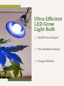 Miracle LED® Grow Light Bulb, Blue 10 Miracle LED® Grow Light Bulb, Blue -Outdoor Garden Care 3 4 crop Miracle Bulb Blue 1