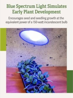 Miracle LED® Grow Light Bulb, Blue 12 Miracle LED® Grow Light Bulb, Blue -Outdoor Garden Care 3 4 crop Miracle Bulb Blue 3