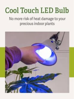 Miracle LED® Grow Light Bulb, Blue 13 Miracle LED® Grow Light Bulb, Blue -Outdoor Garden Care 3 4 crop Miracle Bulb Blue 4