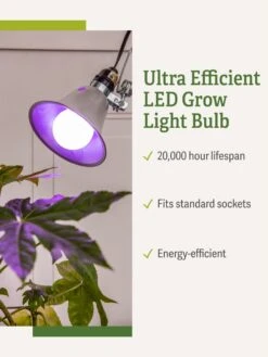 Miracle LED® Grow Light Bulb, Red And Blue -Outdoor Garden Care 3 4 crop Miracle Bulb RB 1