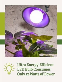 Miracle LED® Grow Light Bulb, Red And Blue -Outdoor Garden Care 3 4 crop Miracle Bulb RB 2