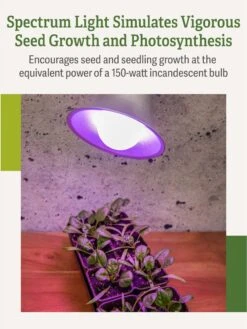 Miracle LED® Grow Light Bulb, Red And Blue -Outdoor Garden Care 3 4 crop Miracle Bulb RB 3