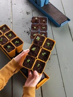 Gardener's Best® XL Seed Starting Kit -Outdoor Garden Care 40 135 6186