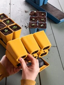 Gardener's Best® XL Seed Starting Kit -Outdoor Garden Care 40 135 6188