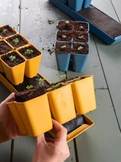 Coco Coir Seed Starting Mix -Outdoor Garden Care 40 135 6192