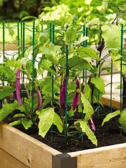 Pepper And Eggplant Stakes, Set Of 3 -Outdoor Garden Care 40308 2116 tif