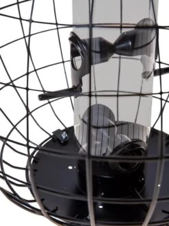 Mixed Seed Globe Cage Feeder -Outdoor Garden Care 8586659 6400