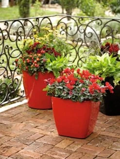 Viva Square Self-Watering Rolling Planter, 14" Diameter 8 Viva Square Self-Watering Rolling Planter, 14" Diameter -Outdoor Garden Care 8586699 982 tif
