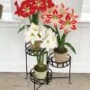Nesting Triple Pot Stand -Outdoor Garden Care 8586747 6012 tif