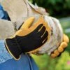 Men's Gold Leaf Winter Touch™ Gloves -Outdoor Garden Care 8586897 537