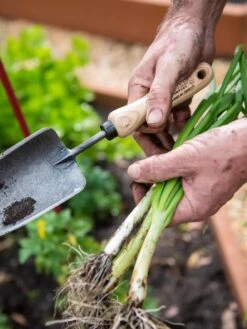 Gardener's Lifetime Trowel -Outdoor Garden Care 8586972 3286 tif