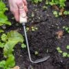 Gardener's Lifetime Cape Cod Weeder, Right-Handed 1 Gardener's Lifetime Cape Cod Weeder, Right-Handed -Outdoor Garden Care 8586974 2361 tif
