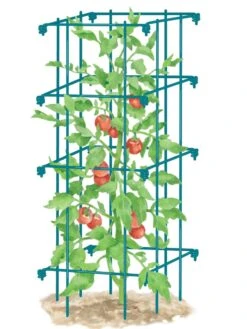 Tomato Cage, Single 8 Tomato Cage, Single -Outdoor Garden Care 8587039 TomatoCage BLUE tif