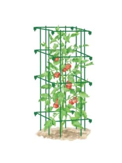 Tomato Cage, Single 9 Tomato Cage, Single -Outdoor Garden Care 8587039 TomatoCage GRN tif