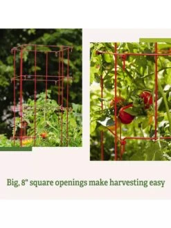 Tomato Cages, Set Of 4 -Outdoor Garden Care 8587040 2