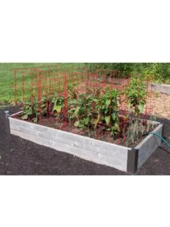 Pepper And Eggplant Cages, Set Of 3 -Outdoor Garden Care 8587048 6008 3 4