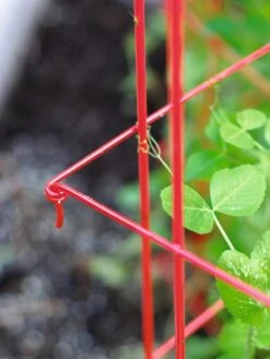 Tall Expandable Pea Trellis -Outdoor Garden Care 8587061 010 tif