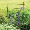 Jardin Ladder Trellis 1 Jardin Ladder Trellis -Outdoor Garden Care 8587107 1651 tif