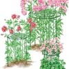 Grow Through Supports, Set Of 3 -Outdoor Garden Care 8587111RS 001E 1
