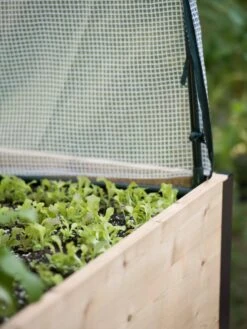 Protection Frame & Covers, 2' X 4' 10 Protection Frame & Covers, 2' X 4' -Outdoor Garden Care 8587631 265 tif 1