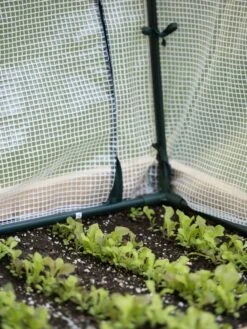 Protection Frame & Covers, 2' X 4' 12 Protection Frame & Covers, 2' X 4' -Outdoor Garden Care 8587631 271 tif 1