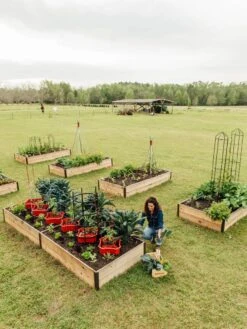 Deep Root Raised Beds, 14" Deep 4' Wide -Outdoor Garden Care 8587813 505 tif